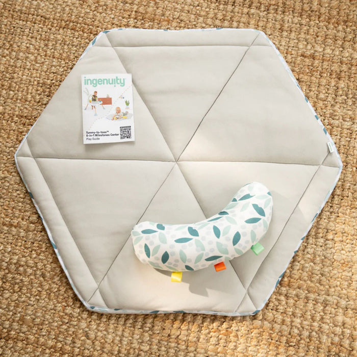 Stazione Gioco 6-in-1 INGENUITY CHIC BOUTIQUE: palestrina, centro saltellante, tavolino, tenda e giochi on the go!