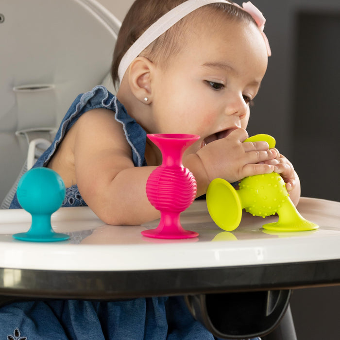 Fat Brain GREFA089-1 Pip Squigz Toy