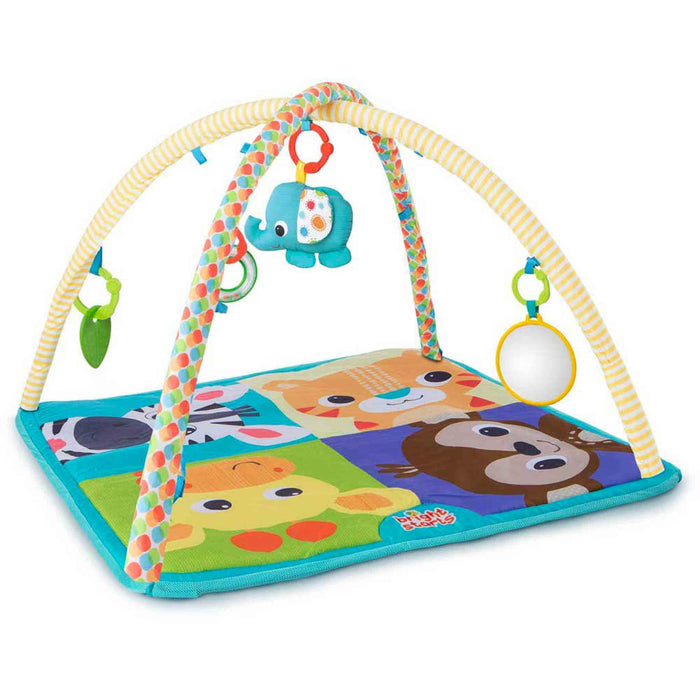 Palestrina 2-in-1 ACTIVITY GYM PIT FUN con Bordi, Archi e 10 Palline