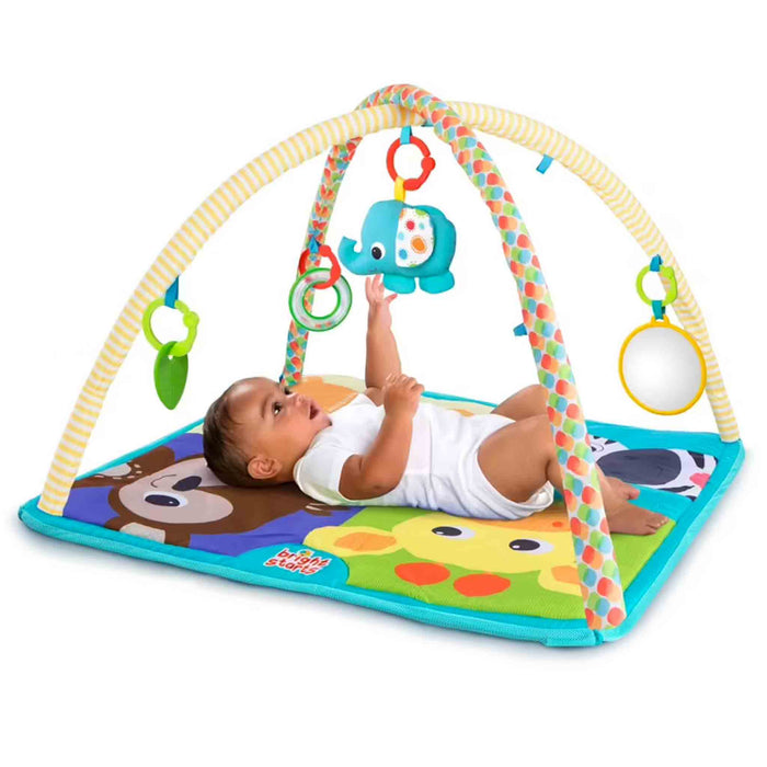 Palestrina 2-in-1 ACTIVITY GYM PIT FUN con Bordi, Archi e 10 Palline